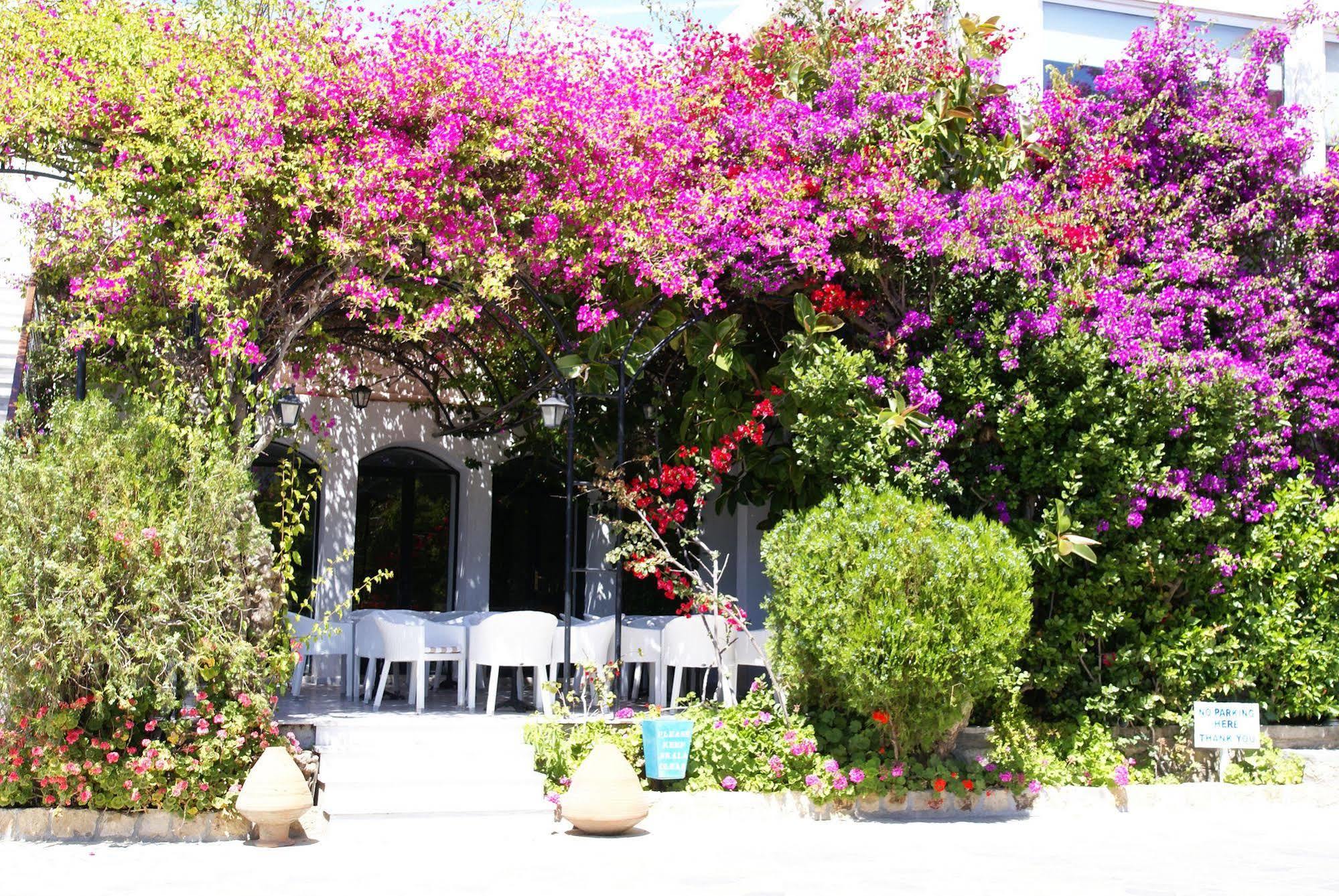 Skala Hotel Exterior photo